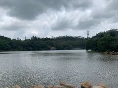 -深圳仙湖植物园