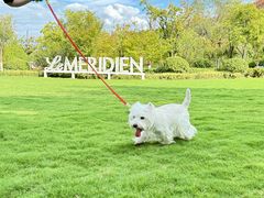 -西安浐灞艾美酒店·汉江餐厅·火锅