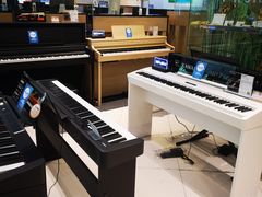 -柏斯琴行(汾阳店)