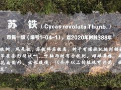 -重庆抗战遗址博物馆