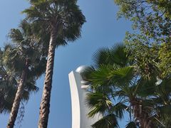 -艾坪山公园