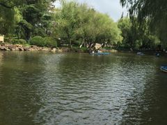 -瀛洲公园