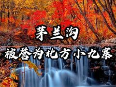 -茅兰沟国家森林公园