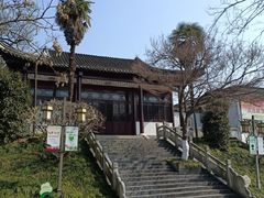 -伯先公园