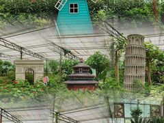 -南宫五洲植物乐园