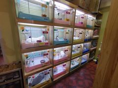 -宠物兔专门店(天丰利市场店)
