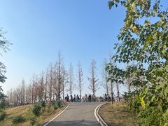 -金银湖国家城市湿地公园