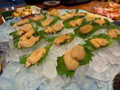 -月龍吟(朝龙汇店)