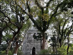 -江心屿景区