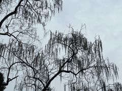 -黔灵山公园