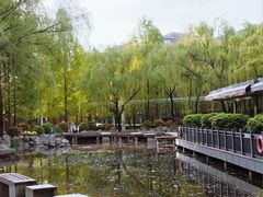 -唐城墙遗址公园