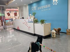 -贝利宠物医院·骨科·眼科·肿瘤转诊中心(南坪诊疗中心)
