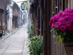 -乌镇西栅景区