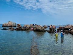 -养马岛旅游度假区