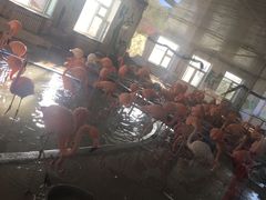 -哈尔滨北方森林动物园