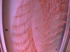 -上海浦东嘉里大酒店