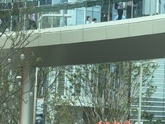 -深圳湾万象城(南山店)