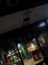 -天道专业洗纹身