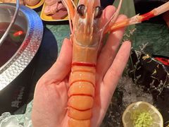 -牛New寿喜烧(金鹰世界店)