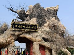 -大槐树寻根祭祖园