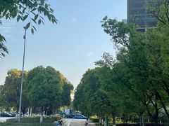 -映月湖中央公园