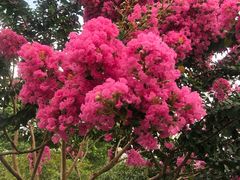 -杭州城北体育公园