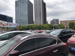 -大宁郁金香公园-停车场