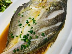 清蒸大黄鱼-华盛丰温州大排档(东三环南路店)