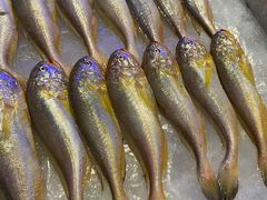 -荣记火锅(青悦城店)