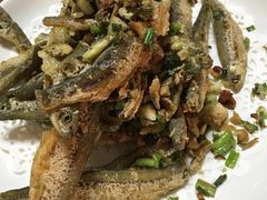 -全乐鱼馆·淳牌有机鱼直营店