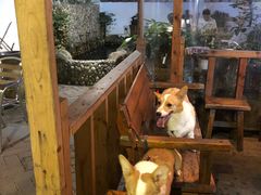 -茶米人台湾料理·精致快简餐