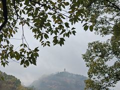 -天台山赤城山景区