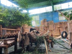 -泉州海丝野生动物世界