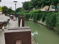 -神仙树公园