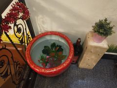-热浪岛马来餐厅