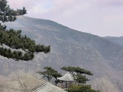 -妙峰山风景名胜区