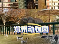 -郑州市动物园