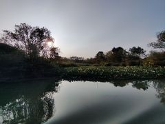 -西溪国家湿地公园