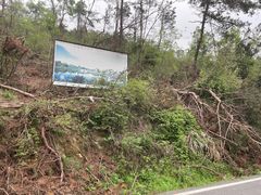 -青龙山国家森林公园