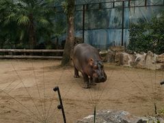 -上海野生动物园