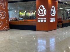 -油梨树 AVOCADO TREE(亮马桥店)