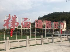 -红山村
