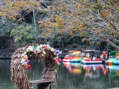 -龙湾潭国家森林公园