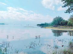 -西昌邛海湿地