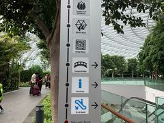 -樟宜机场免税店