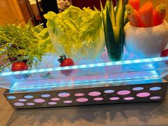 -梅飞酒家(名辉豪庭店)