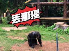 -南宁市动物园