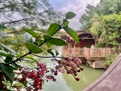 -长鹿旅游休博园