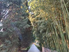 -春晖园度假酒店温泉