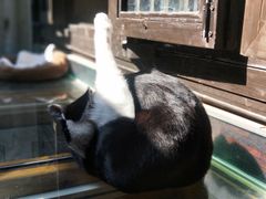 -猫的天空之城概念书店(杭州南宋御街店)